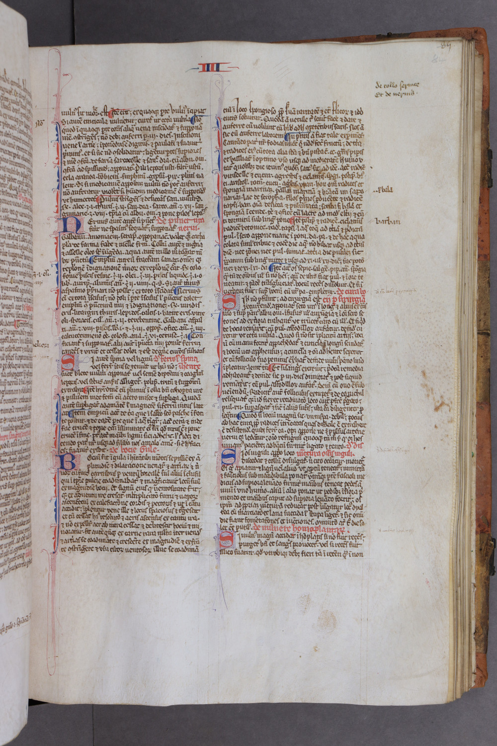 Folio 84 recto